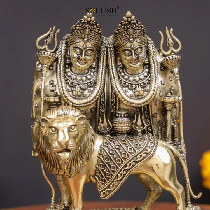 Kaila Devi Chamunda Mata on Lion Idol